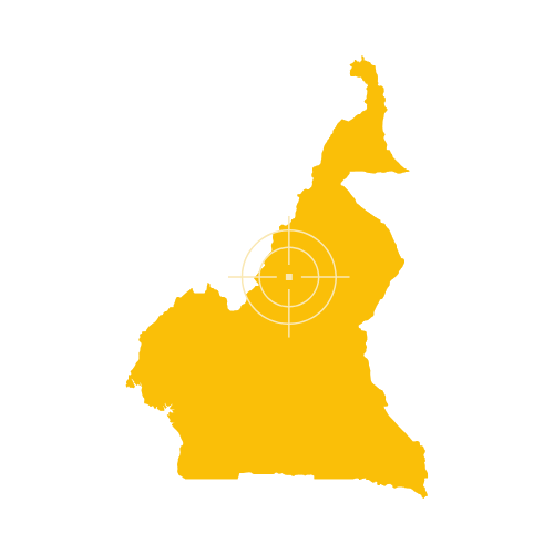 Map of Cameroon showing regions and main towns