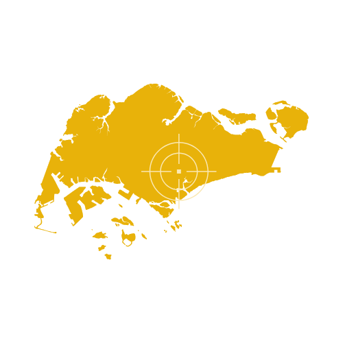 Singapore Map Showing Districts and Urban Areas