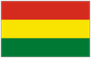 Bolivia national flag