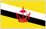Brunei national flag