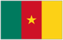 Cameroon national flag