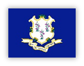 Flag of Connecticut with white shield and grapevines