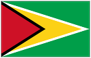 Guyana national flag