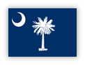 Flag of South Carolina with palmetto tree and crescent