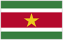 Flag of Suriname green white red with yellow star