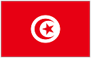 Flag of Tunisia red with white circle and red star crescent