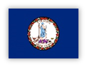 Flag of Virginia with state seal showing Virtus